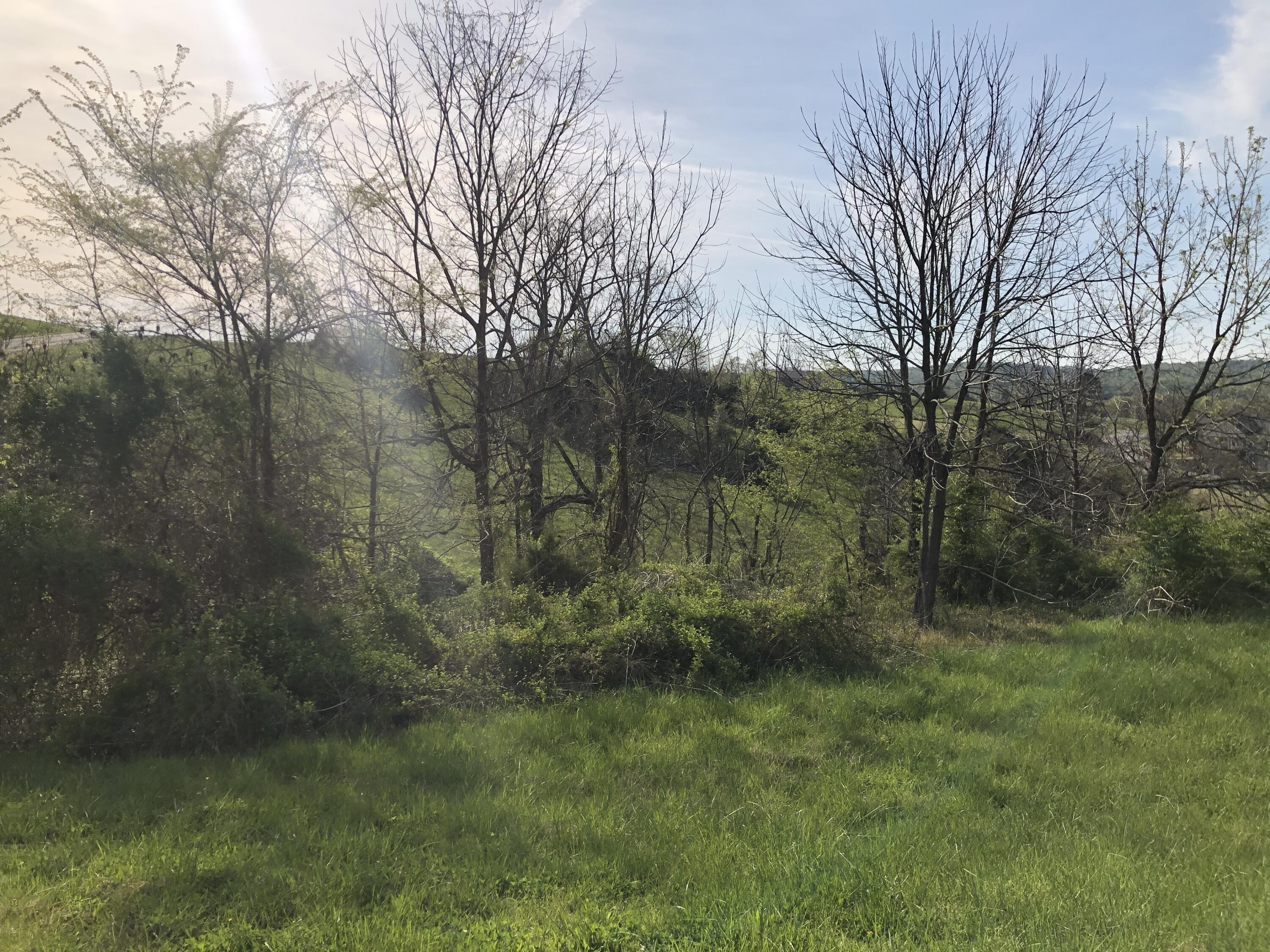 Lot 176 Russell Brothers Road Sharps Chapel, TN 37866 - Photo 28 of 37 Lot #176 Sunset Bay, Norris Lake