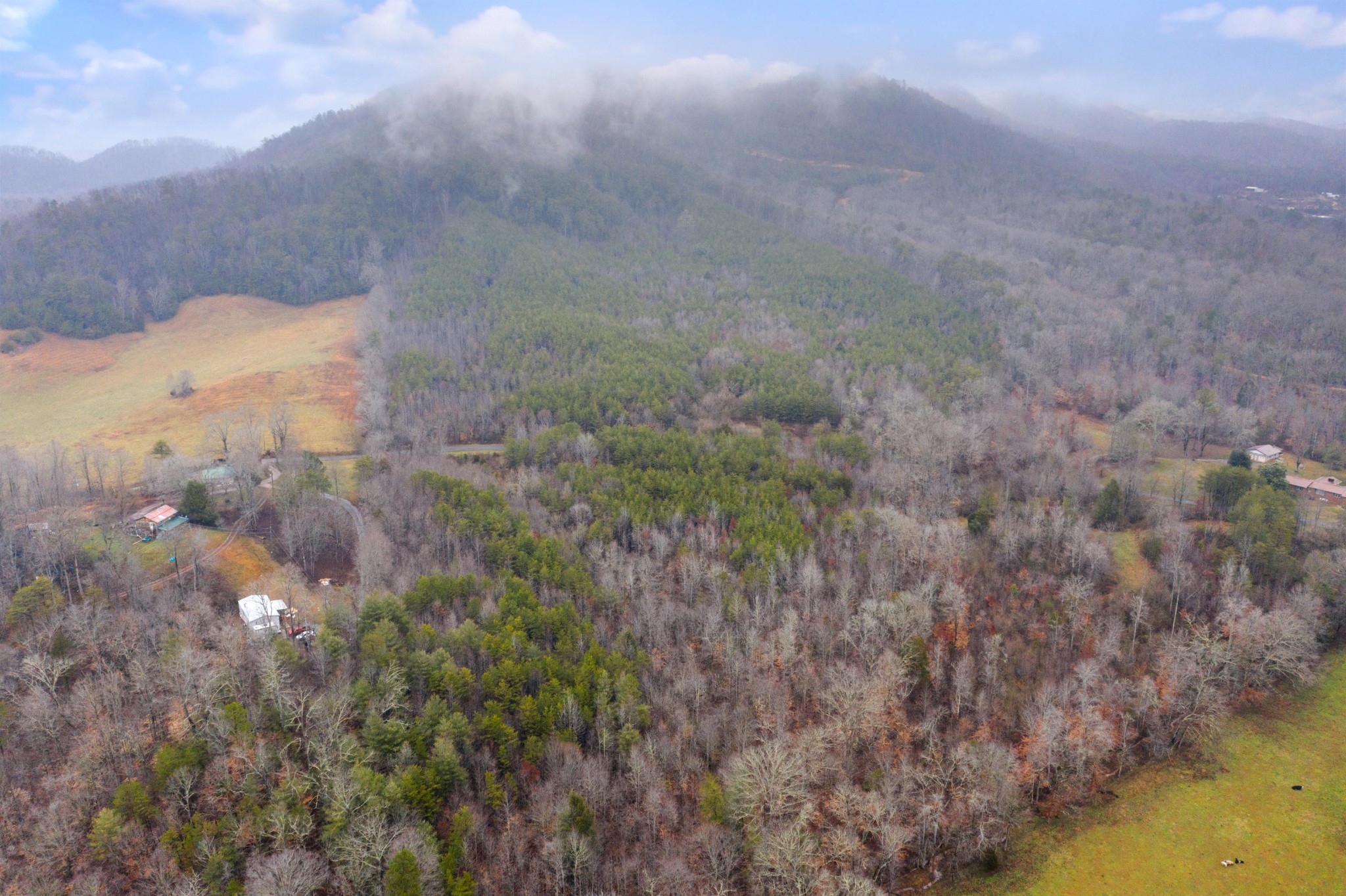 0 Baker Road Tellico Plains, TN 37385 - Photo 11 of 31 Gallery Image 11