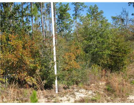 0 Joncey Road Biloxi, MS 39532 - Photo 1 of 3 Primary Photo