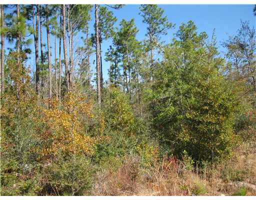 0 Joncey Road Biloxi, MS 39532 - Photo 2 of 3 Additional Photo