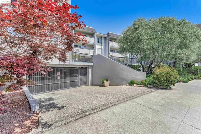a backyard of a house with large trees and garage