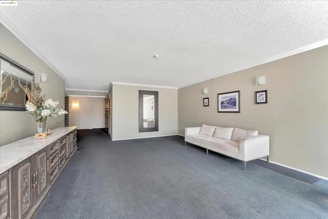 a view of a hallway with windows