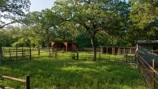 a view of a backyard with wooden fence and a tree