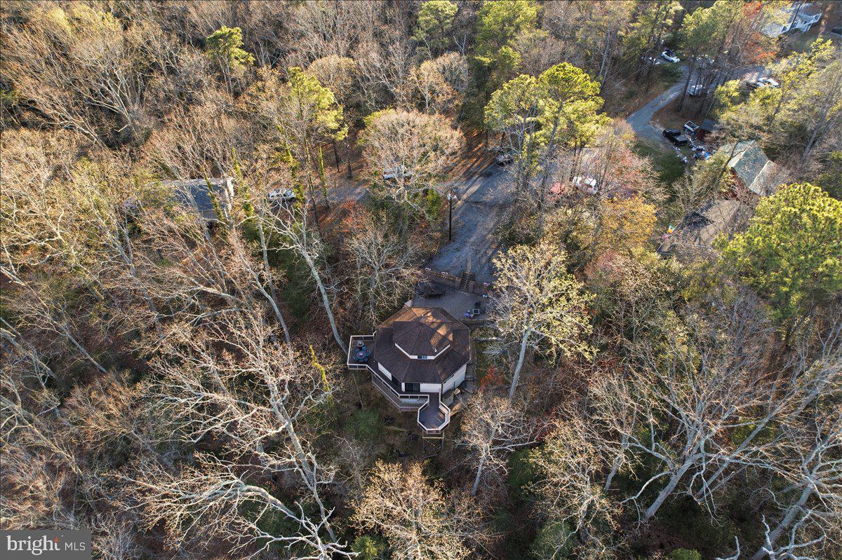 1142 Ranger Ridge Road Lusby, MD 20657 - Photo 44 of 53 a view of a tree in a forest