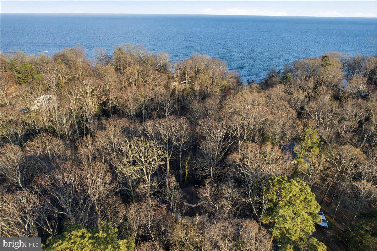 1142 Ranger Ridge Road Lusby, MD 20657 - Photo 45 of 53 a view of a houses with a forest