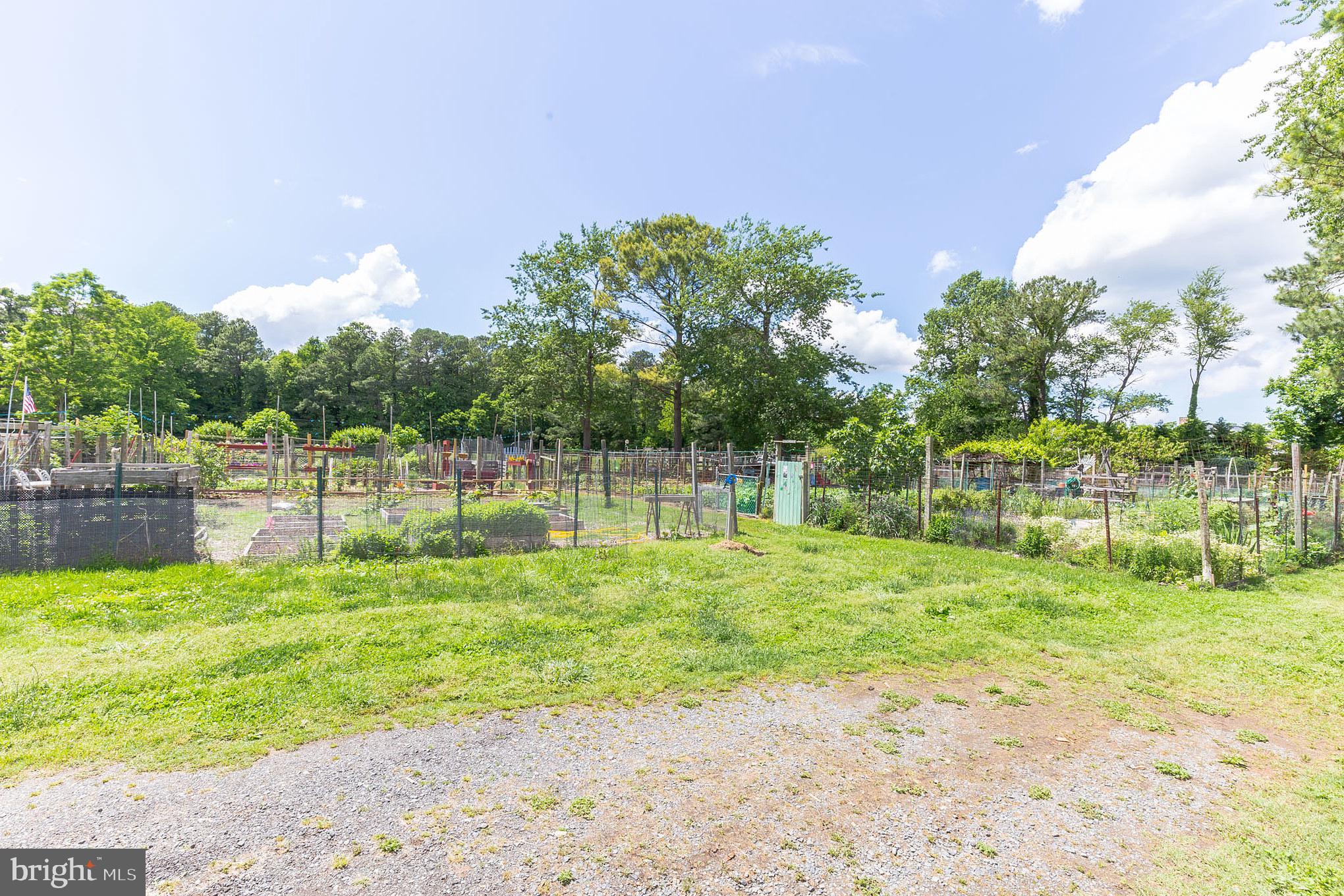 1142 Ranger Ridge Road Lusby, MD 20657 - Photo 47 of 53 a garden with trees in the background