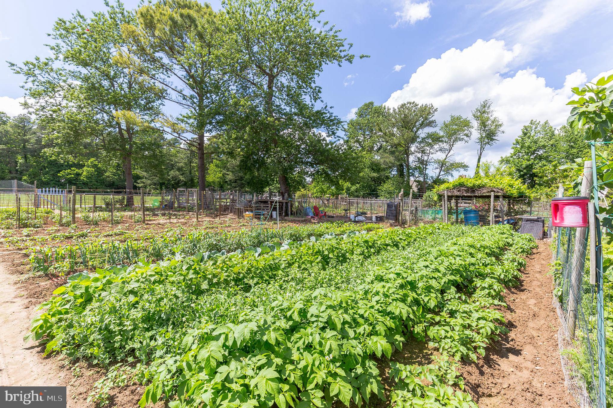 1142 Ranger Ridge Road Lusby, MD 20657 - Photo 53 of 53 a view of a yard with a table and a bench