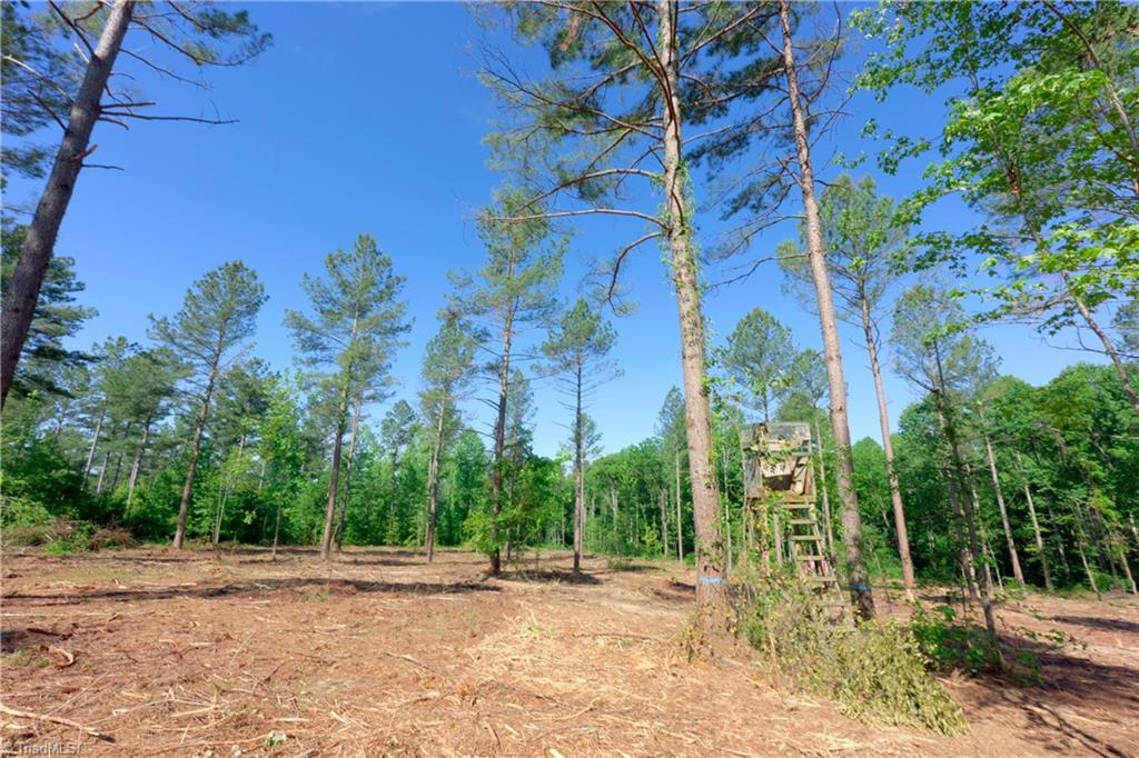 0 Carson Road Cleveland, NC 27013 - Photo 8 of 17