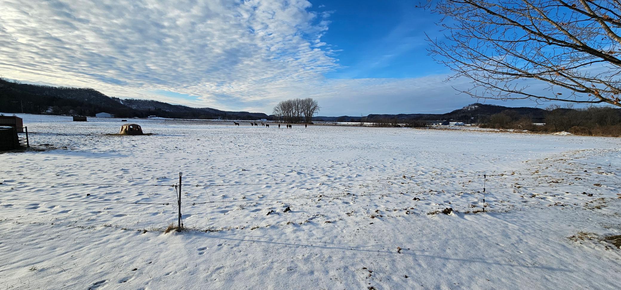 501 Jefferson Street Houston, MN 55943 - Photo 35 of 58