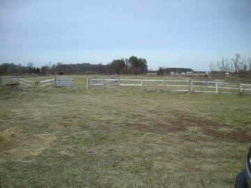 6423 Bolen Store Road Thompsonville, IL 62890 - Photo 4 of 10
