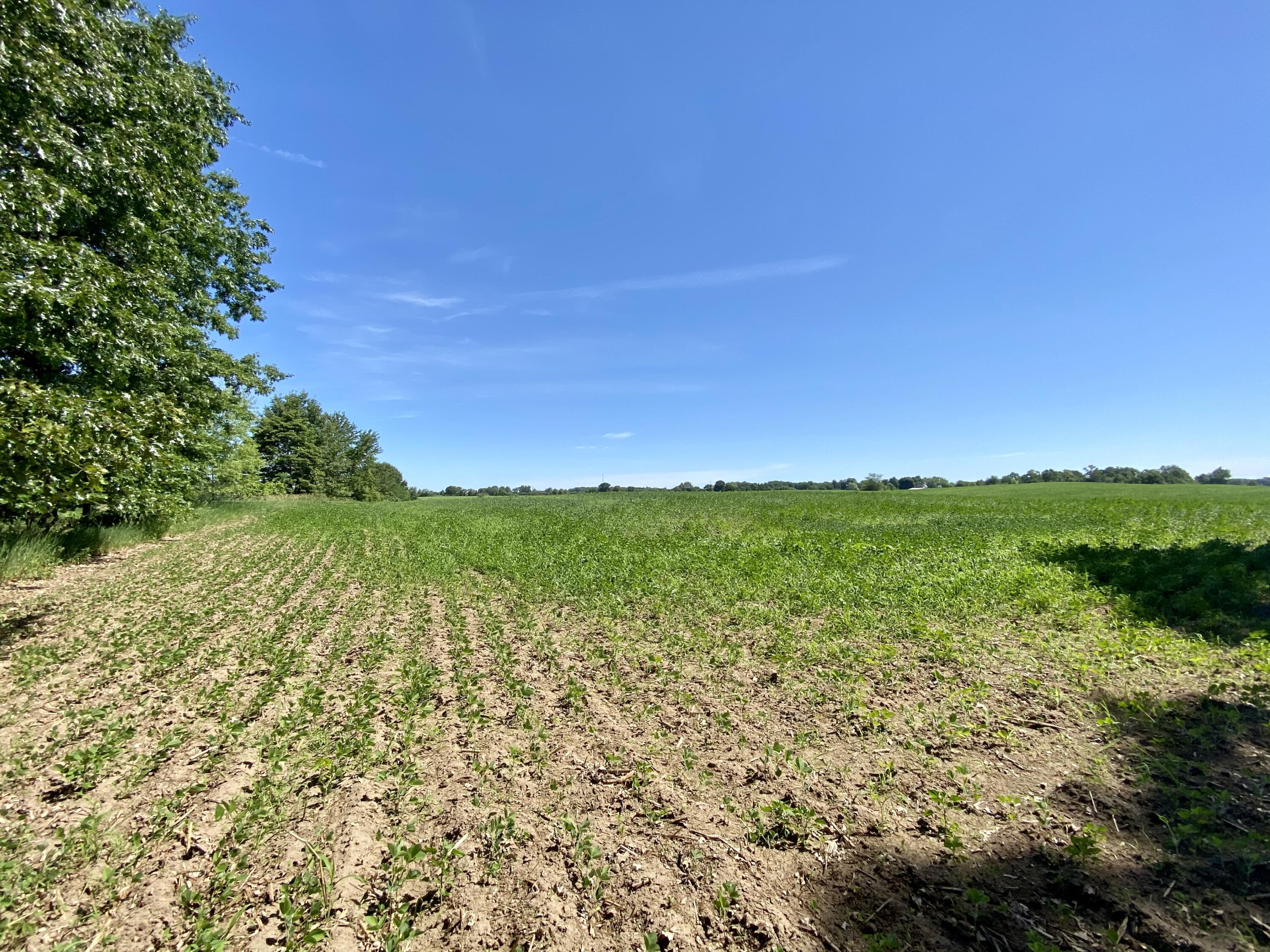 252 Hatfield Road Niles, MI 49120 - Photo 2 of 4 B4AEDC96-A1A2-4C97-A6A1-4816646C78A5
