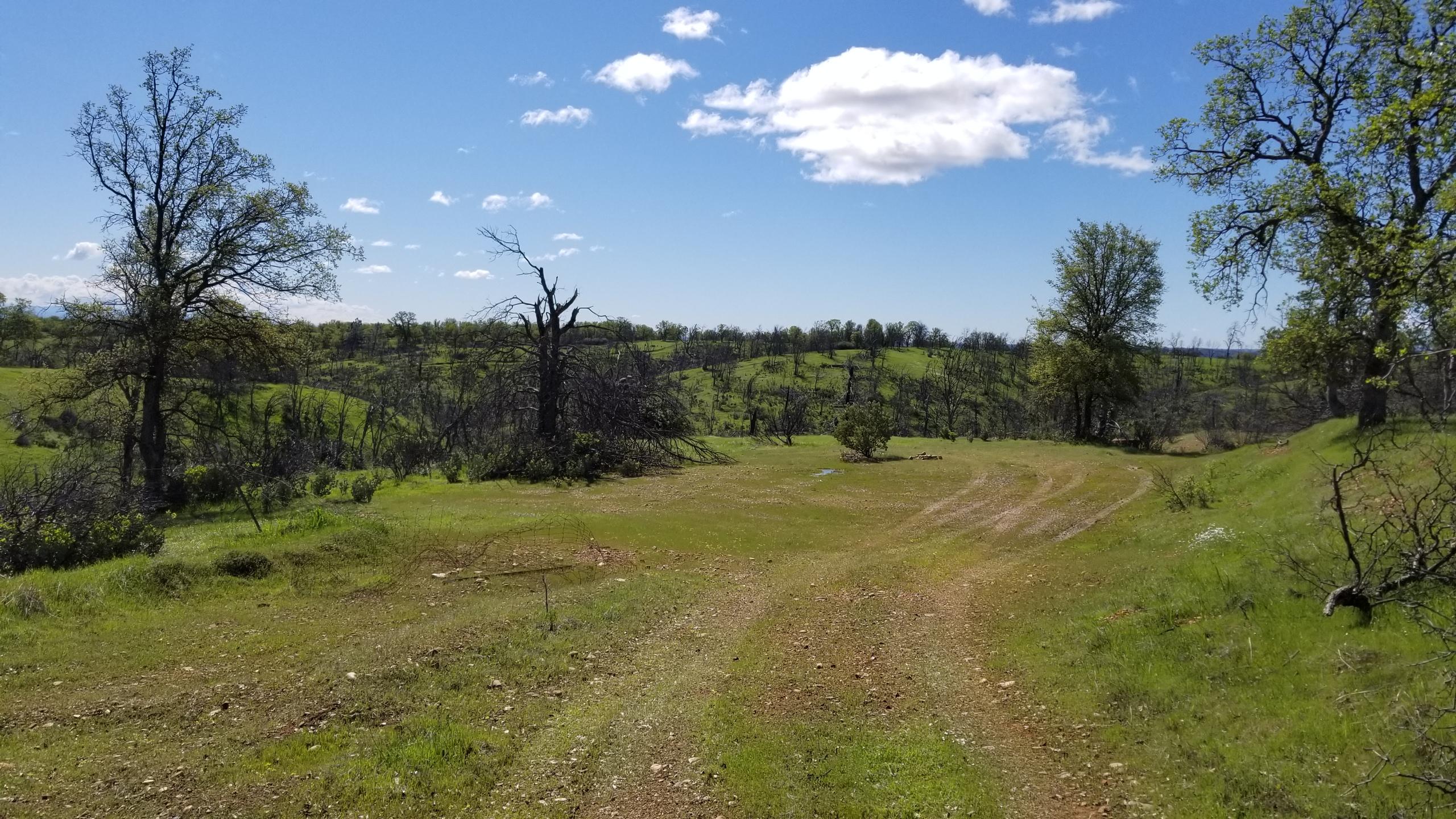 0 Coal Pit Road Igo, CA 96047 - Photo 2 of 5 624