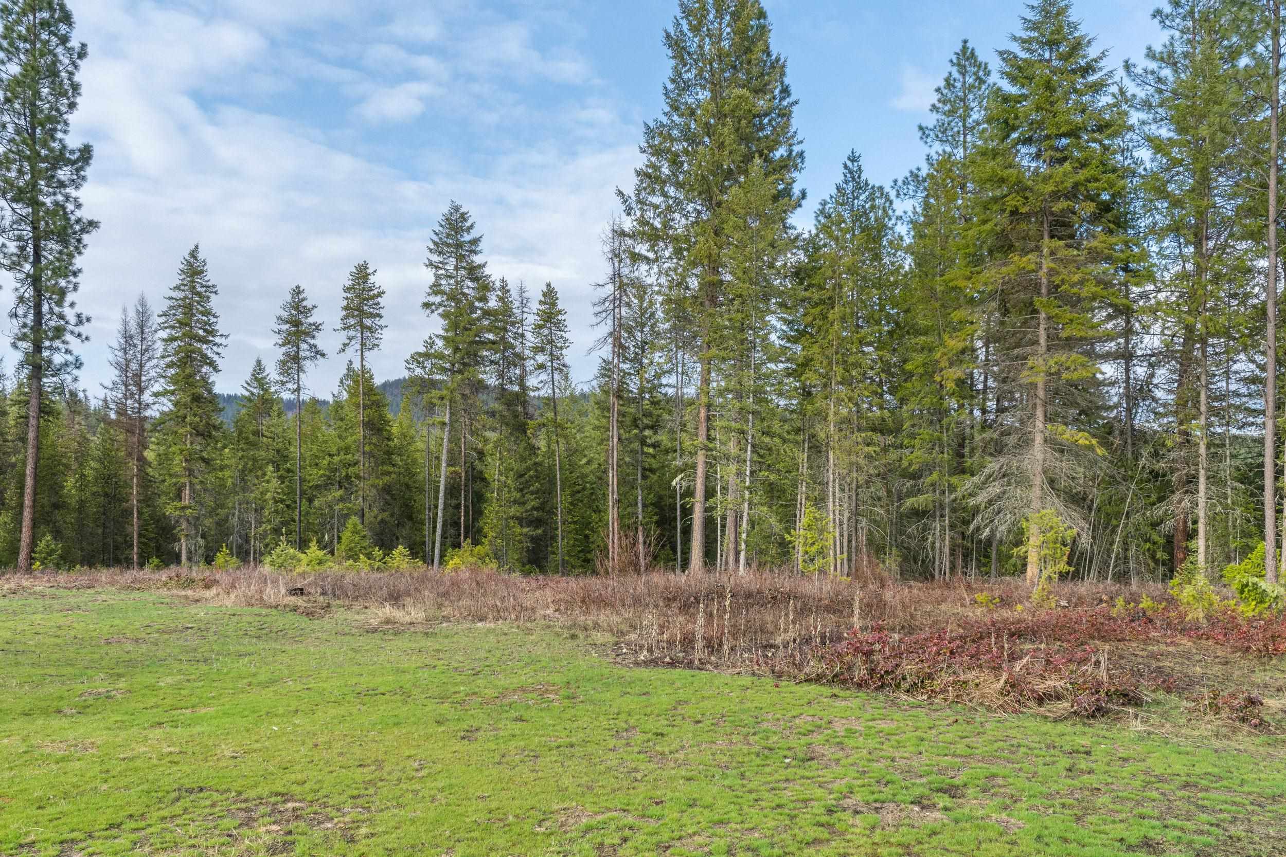 3714 Sand Creek Road, Unit B Kettle Falls, WA 99141 - Photo 31 of 50