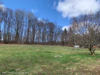 320 Village Road Dallas, PA 18612 - Photo 28 of 29 a backyard of a house with lots of green space