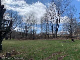 320 Village Road Dallas, PA 18612 - Photo 29 of 29 a view of a park