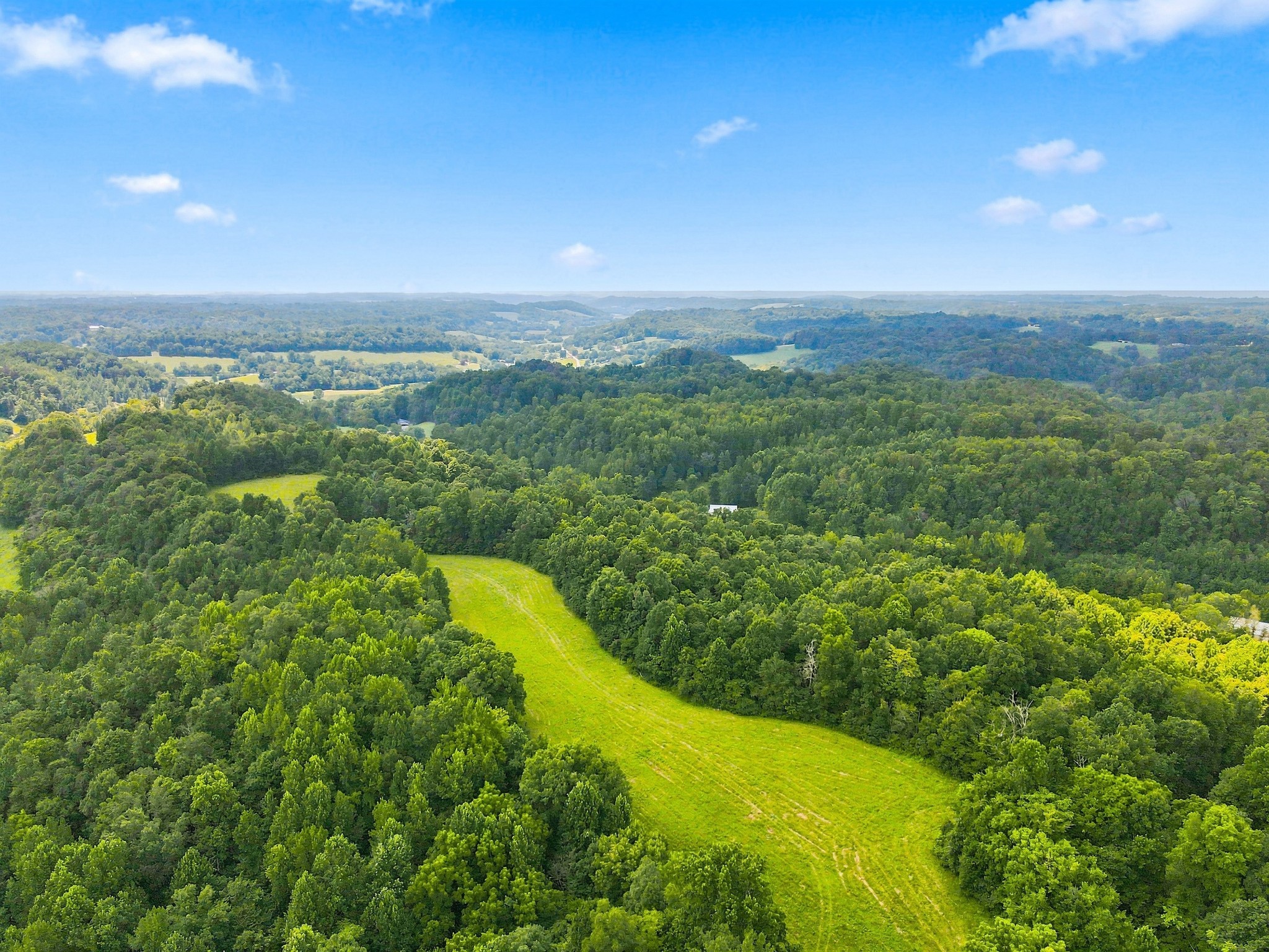 1448 Williams Hollow Road Pulaski, TN 38478 - Photo 44 of 70 Gallery Image 44