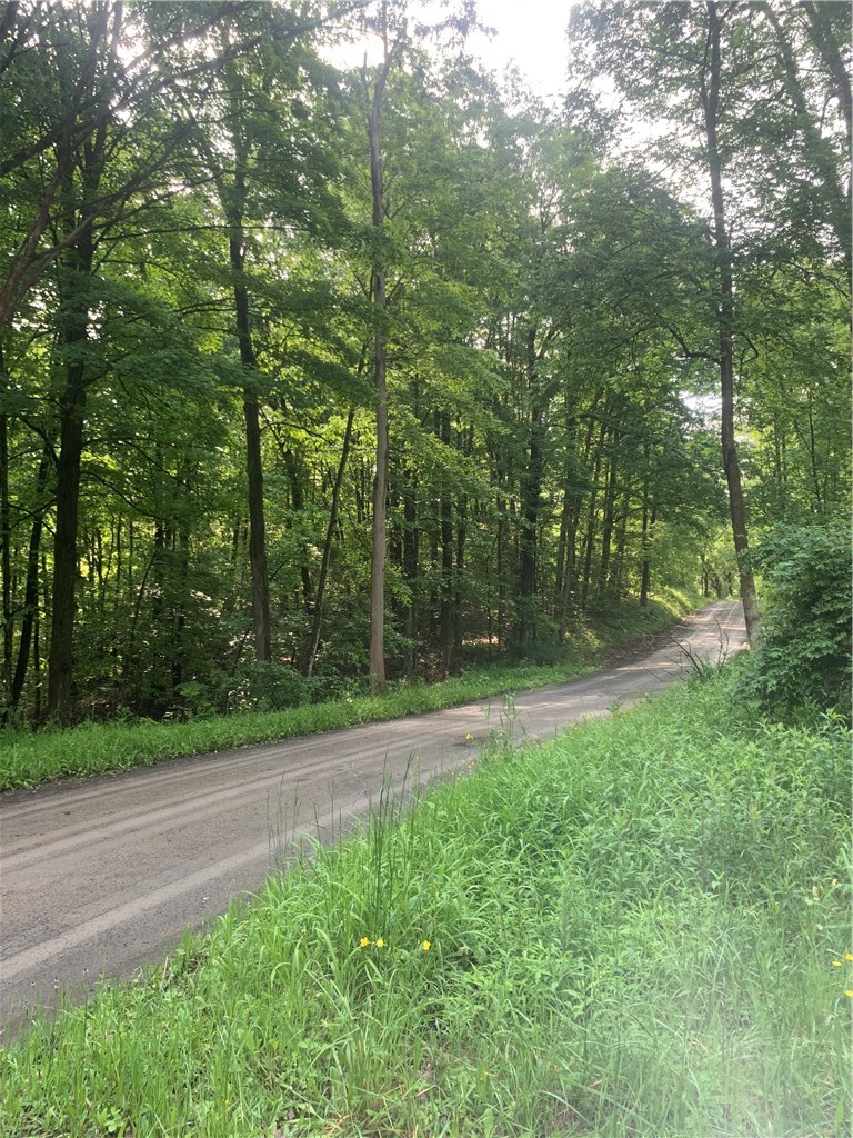 3565 Texas Hollow Road Hector, NY 14818 - Photo 12 of 14