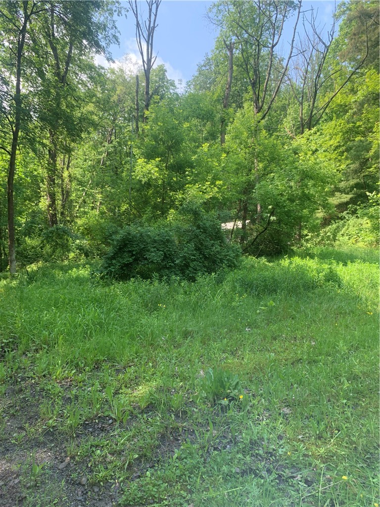 3565 Texas Hollow Road Hector, NY 14818 - Photo 13 of 14