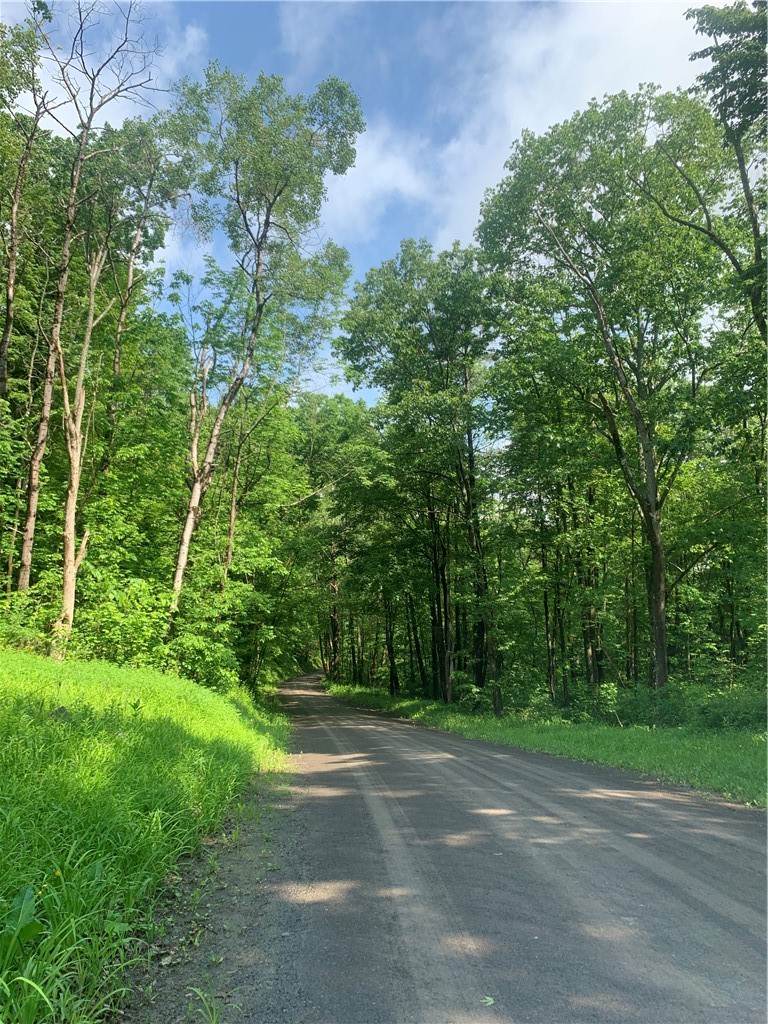 3565 Texas Hollow Road Hector, NY 14818 - Photo 14 of 14