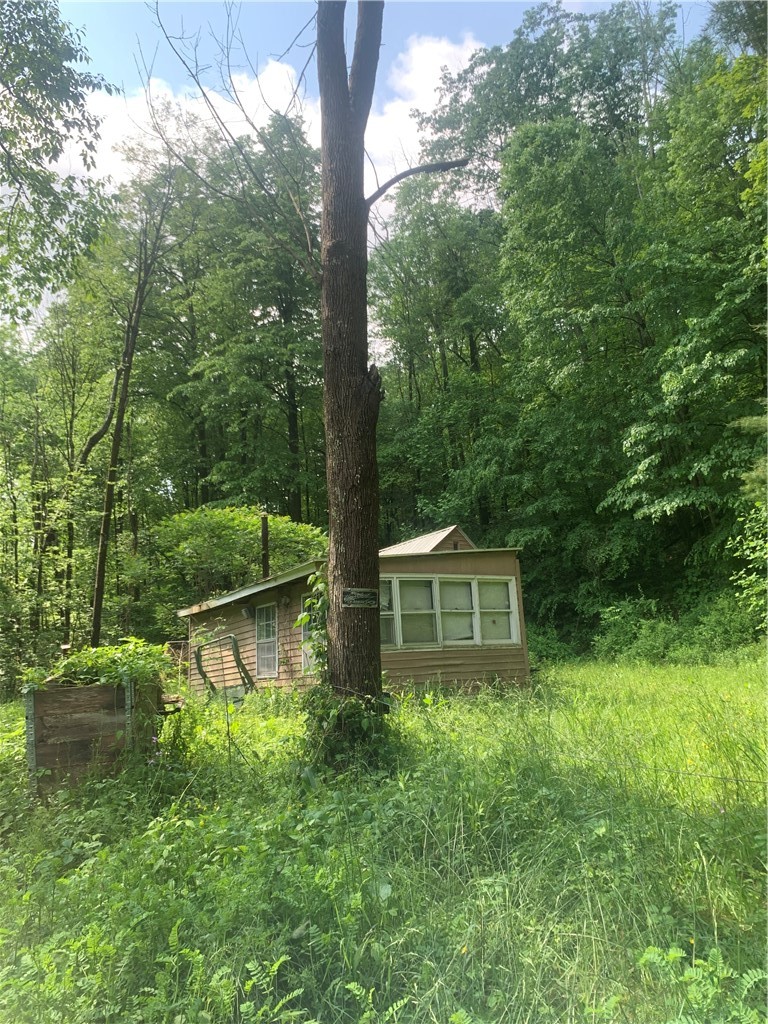 3565 Texas Hollow Road Hector, NY 14818 - Photo 2 of 14