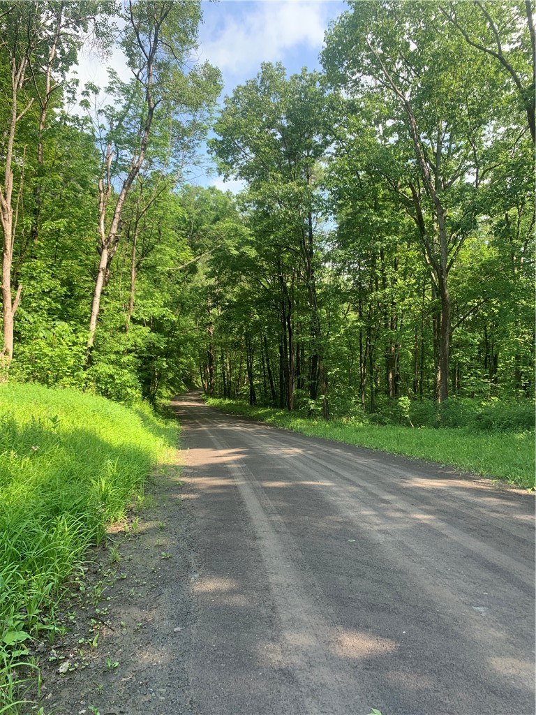 3565 Texas Hollow Road Hector, NY 14818 - Photo 3 of 14