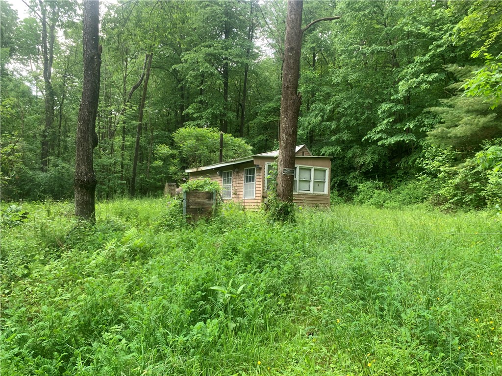 3565 Texas Hollow Road Hector, NY 14818 - Photo 7 of 14