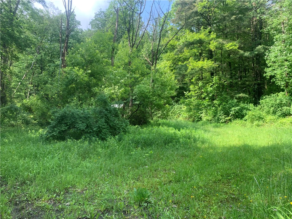 3565 Texas Hollow Road Hector, NY 14818 - Photo 8 of 14