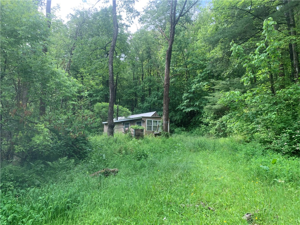 3565 Texas Hollow Road Hector, NY 14818 - Photo 9 of 14