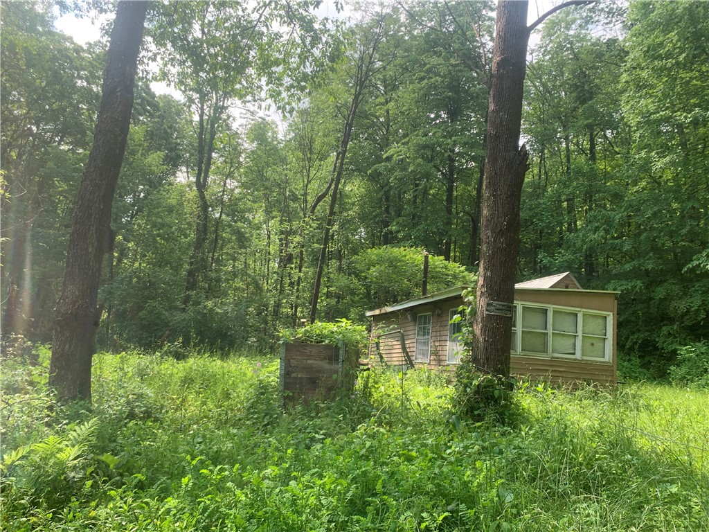 3565 Texas Hollow Road Hector, NY 14818 - Photo 10 of 14