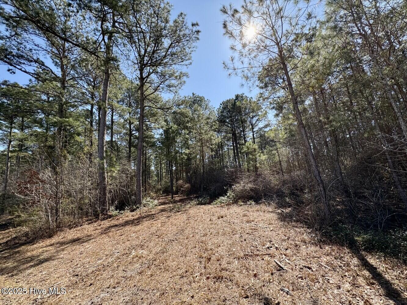 6494 River Road Vanceboro, NC 28586 - Photo 43 of 46 6824a00017038
