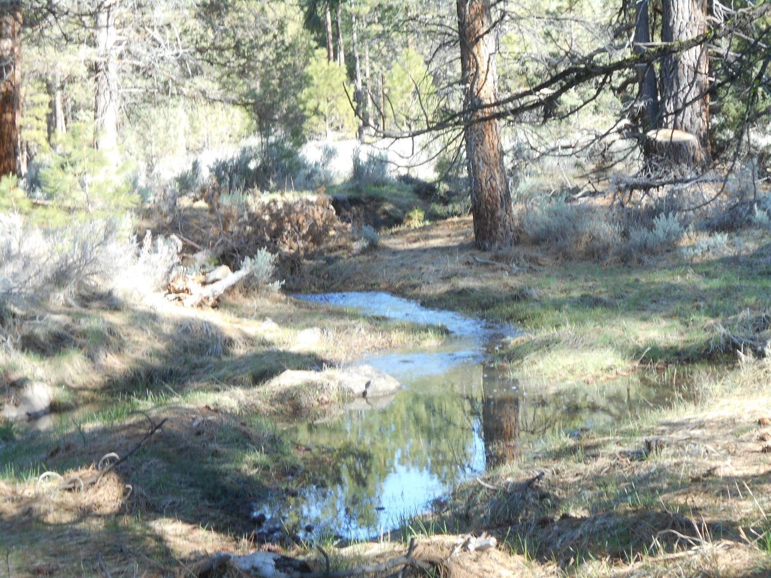 31460 Sprague River Road Sprague River, OR 97639 - Photo 22 of 34 Additional Photo