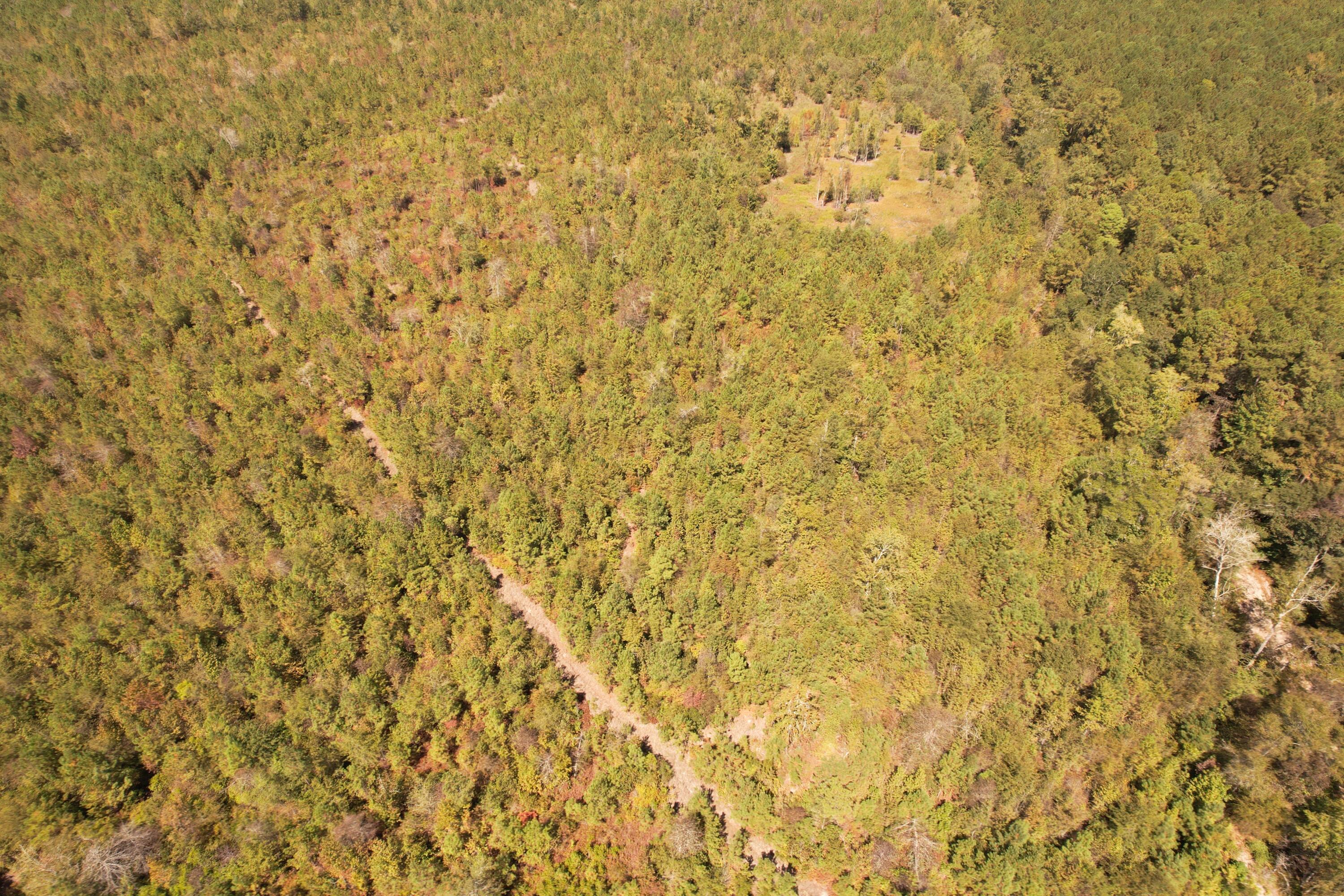 Tbd Old CC Camp Road Greeleyville, SC 29056 - Photo 4 of 12