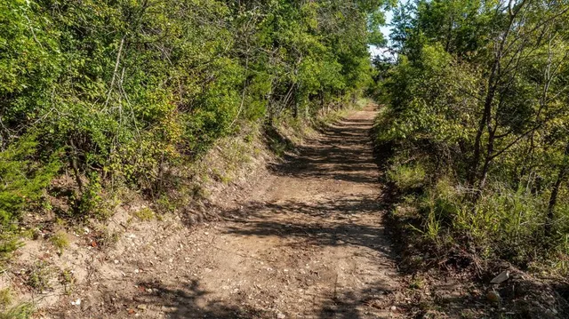 a view of a small yard