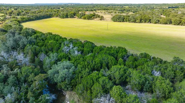 an aerial view of ocean and trees