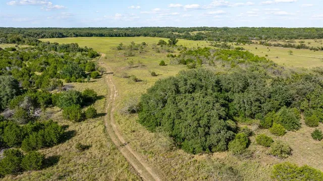 a view of a city with lush green forest