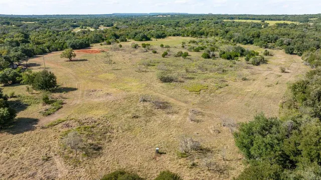 a view of a dry yard with trees