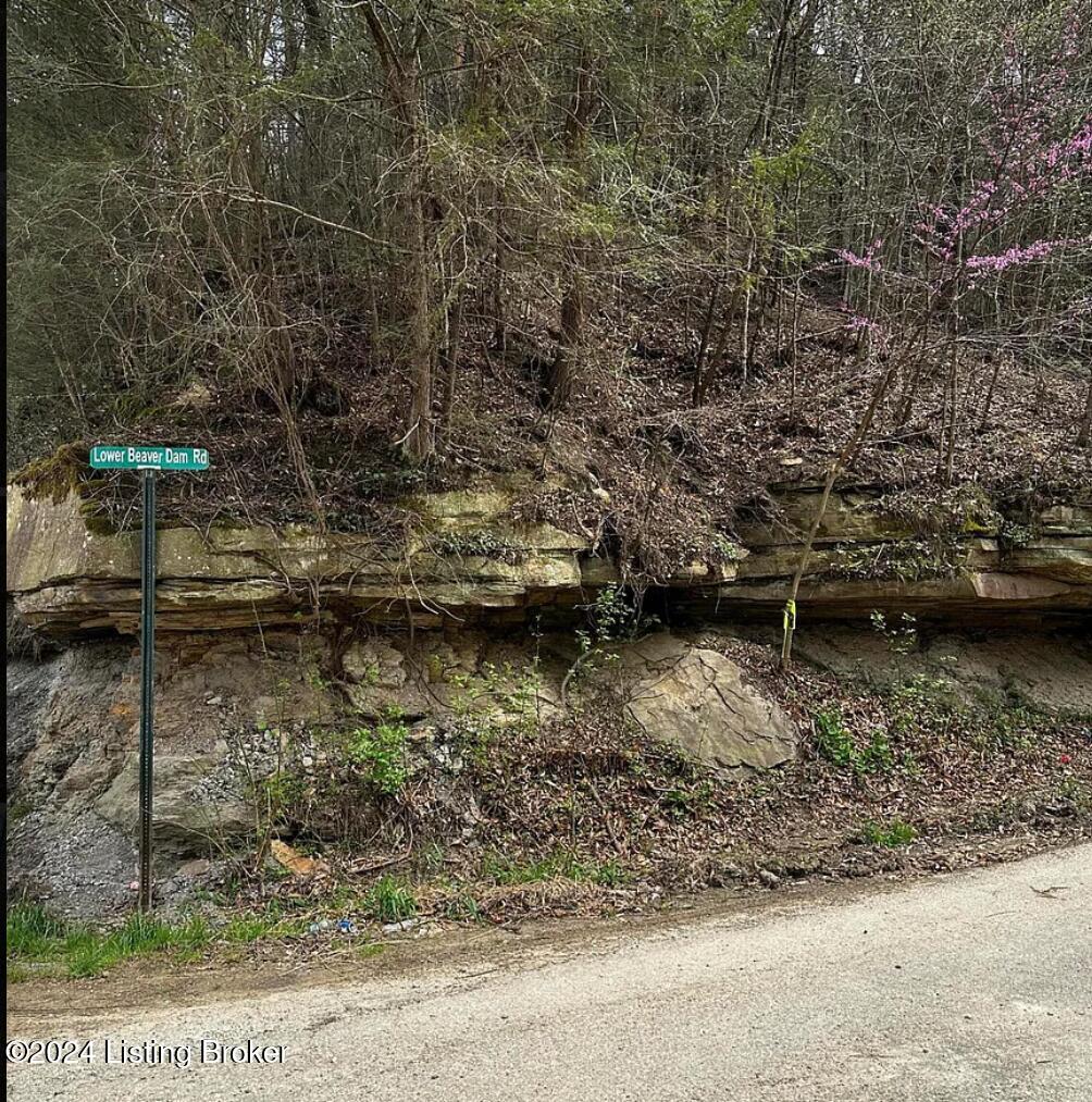 0 Beaver Dam Road Lost Creek, KY 41348 - Photo 2 of 35 Screen Shot 2024-12-02 at 10.13.42 AM
