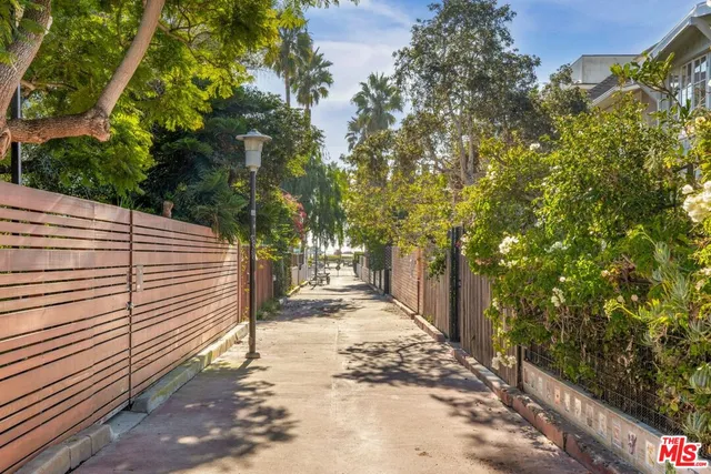 a view of a backyard with plants and large trees