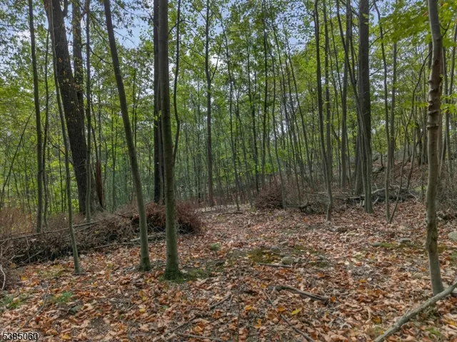 $280,000 | 0 Stonehedge Way, West Milford, NJ 07480