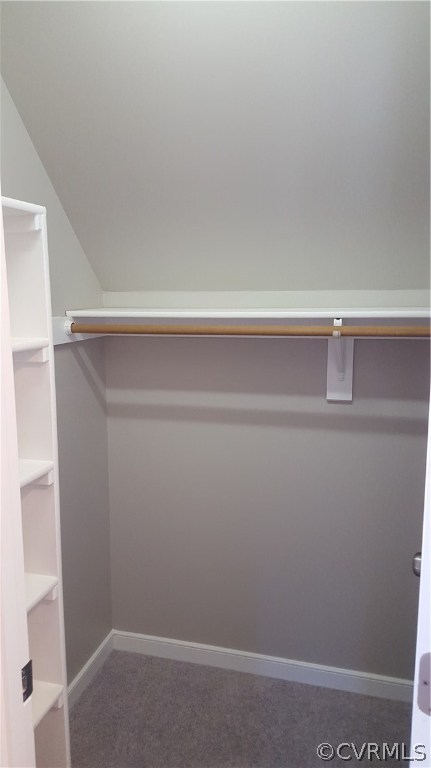 1613 Wilson Wood Road Midlothian, VA 23114 - Photo 29 of 37 a close up view of closet