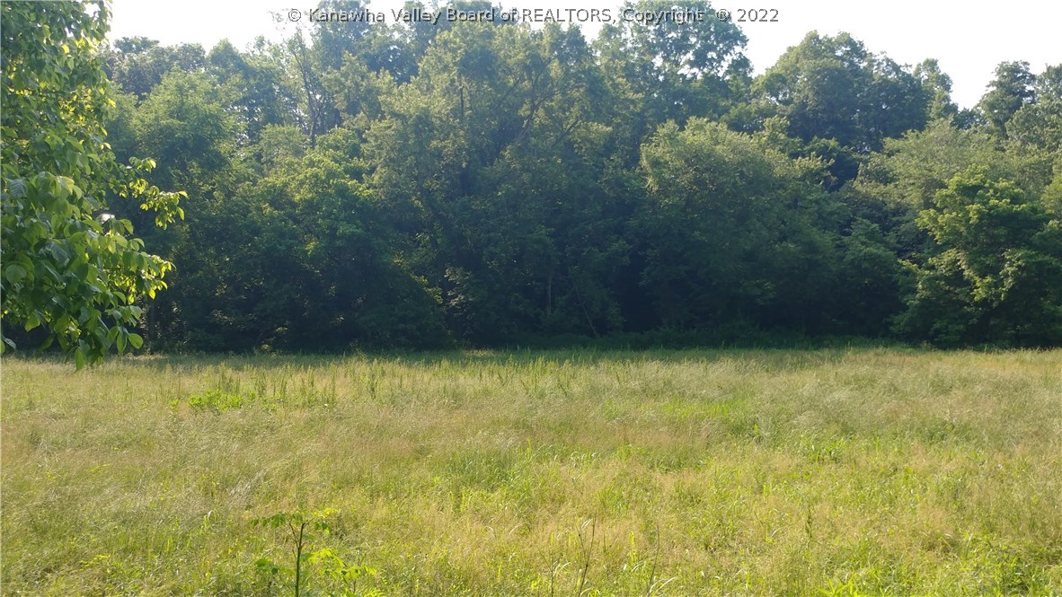 0 Box 71 Rt 7 Road Branchland, WV 25506 - Photo 9 of 13 Gallery Image 9