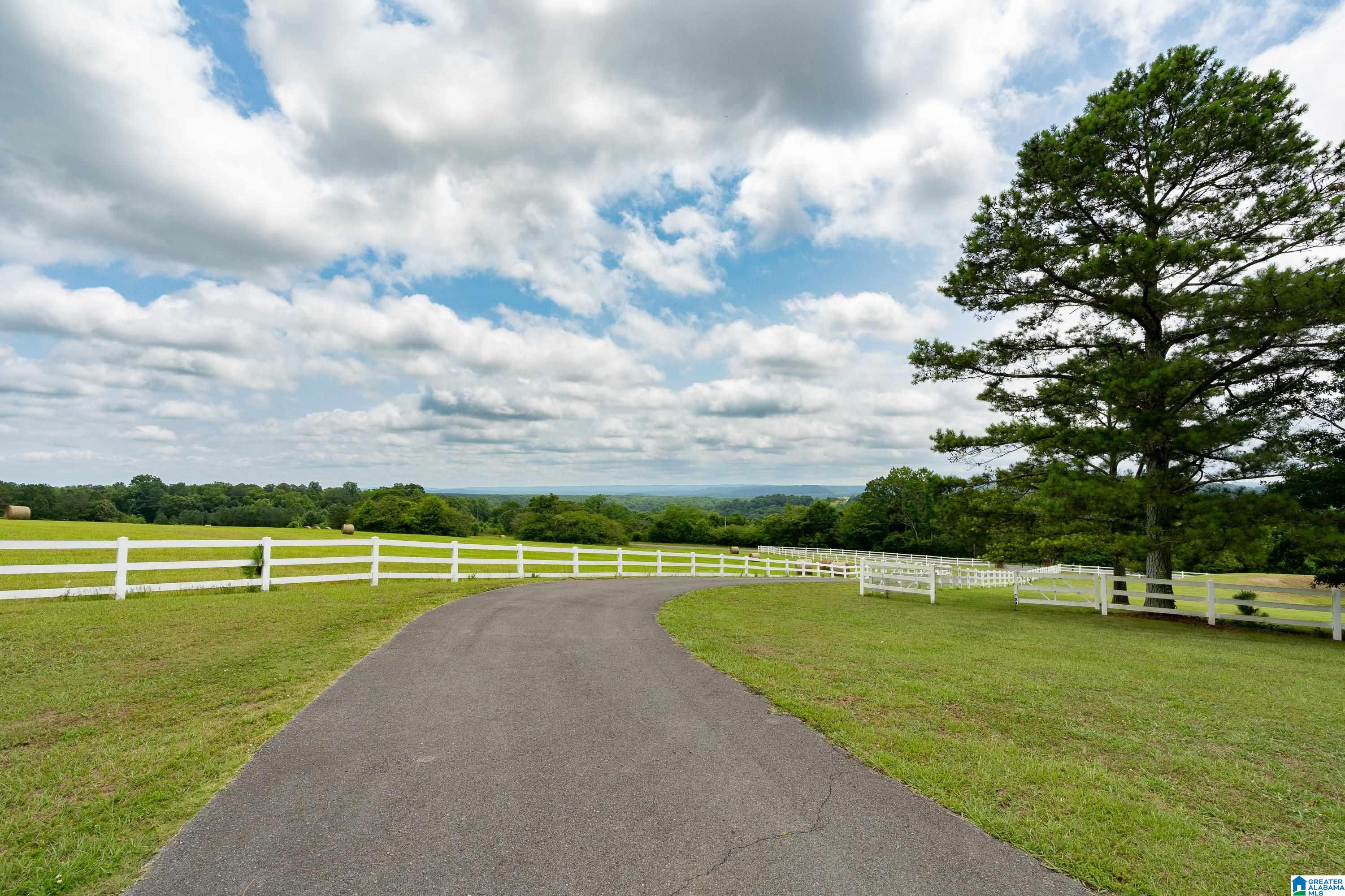 925 Hamilton Mountain Road Blountsville, AL 35031 - Photo 51 of 72