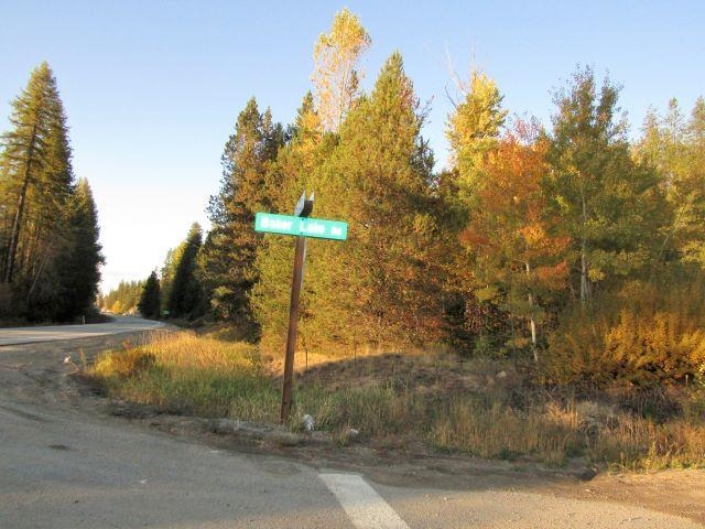 Tbd Baker Lake Road Newport, WA 99156 - Photo 2 of 22 Gallery Image 2