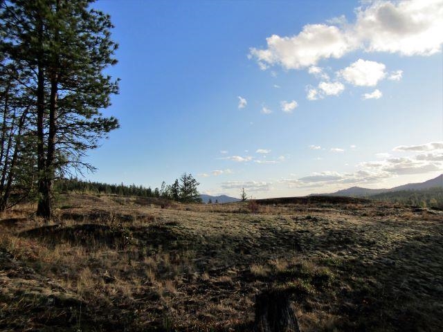 Tbd Baker Lake Road Newport, WA 99156 - Photo 11 of 22 Gallery Image 11