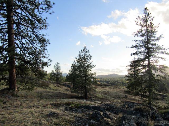 Tbd Baker Lake Road Newport, WA 99156 - Photo 12 of 22 Gallery Image 12