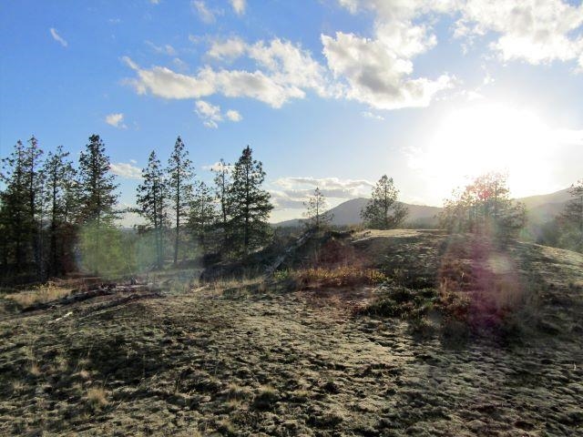 Tbd Baker Lake Road Newport, WA 99156 - Photo 13 of 22 Gallery Image 13