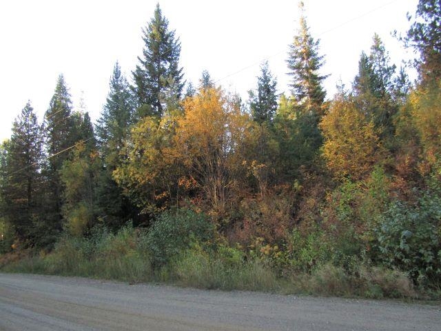 Tbd Baker Lake Road Newport, WA 99156 - Photo 14 of 22 Gallery Image 14