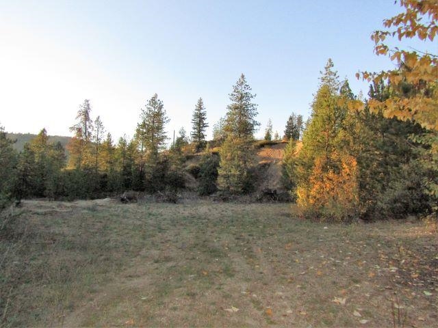 Tbd Baker Lake Road Newport, WA 99156 - Photo 4 of 22 Gallery Image 4