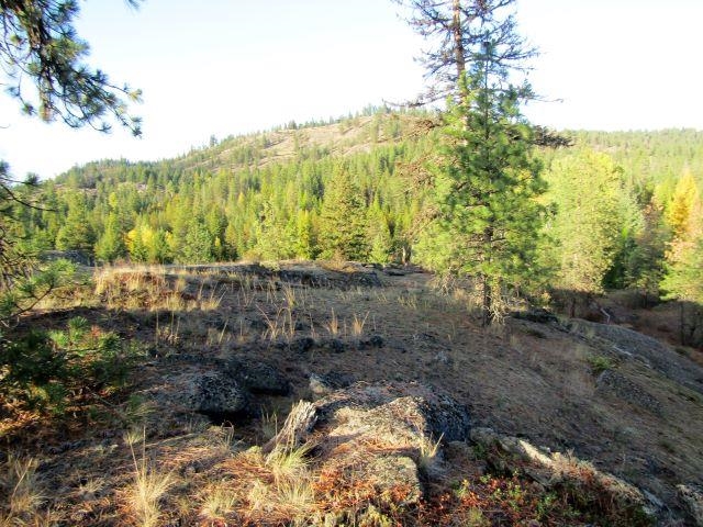 Tbd Baker Lake Road Newport, WA 99156 - Photo 5 of 22 Gallery Image 5