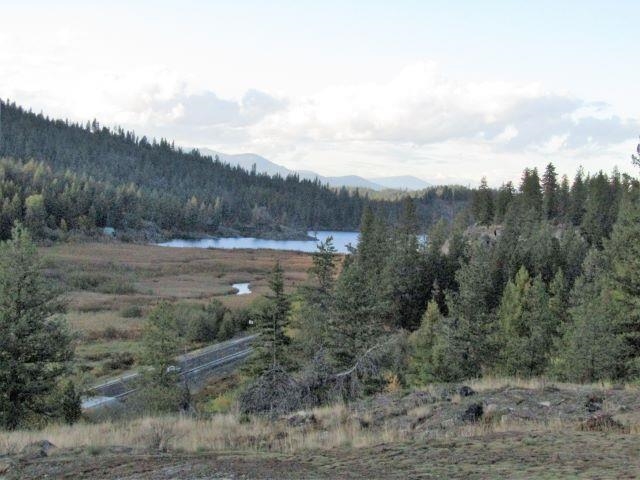 Tbd Baker Lake Road Newport, WA 99156 - Photo 6 of 22 Gallery Image 6